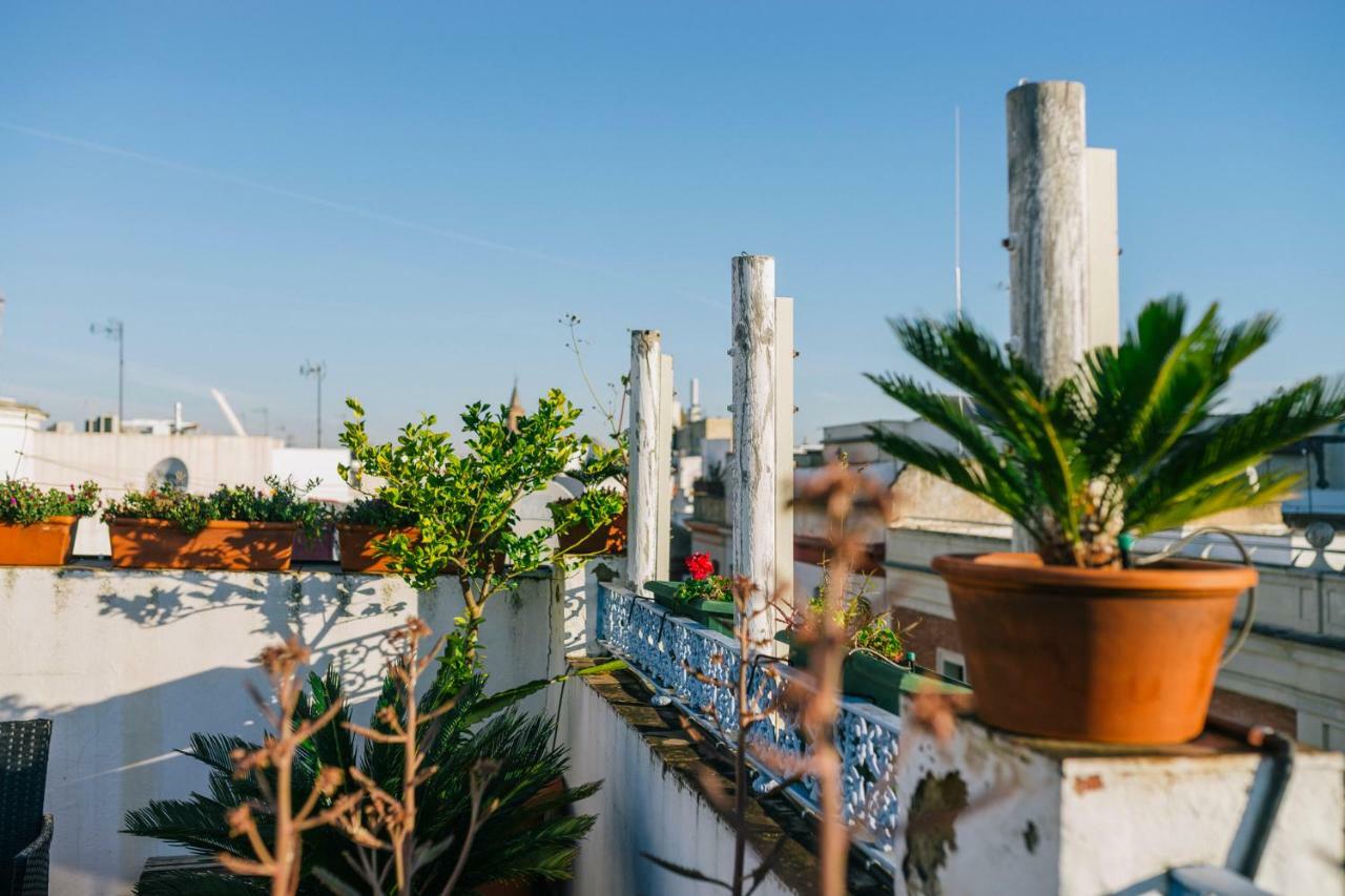 Eva Recommends Alberto Lista Atico Appartement